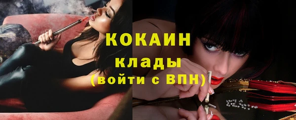 шишки Зеленодольск
