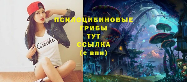 шишки Зеленодольск