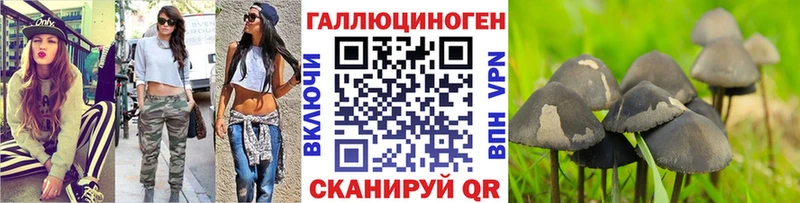 Купить где  Тетюши  Псилоцибиновые грибы Cubensis 