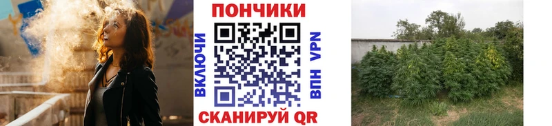 Купить закладки  Тетюши  Бошки Шишки план 